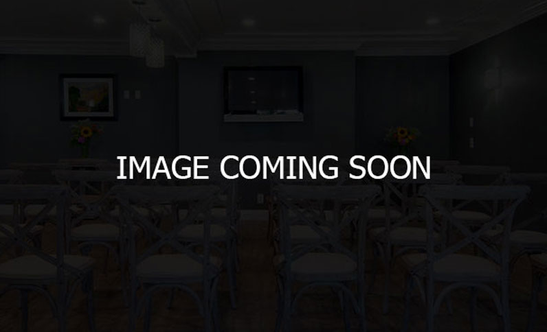 gallerydummy4